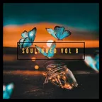 SouLInBeD Series Vol 8