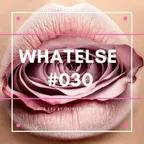 WhAtElsE Series #030