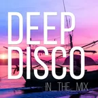 Deep Disco Records Mix vol.58