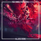 Max Vangeli feat. Agatha - What's Love Got To Do With It (KillaTech Remix)