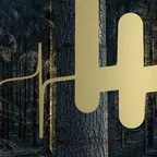Woods, Tales & Friends (Part One)