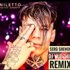 NILETTO - Ветер зимаря (Serg Shenon Yudzhin Remix)