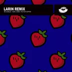 Ini Kamoze  - Here Comes the Hotstepper(Larin Remix) [MOUSE-P]