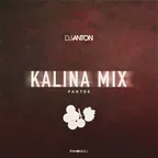 Kalina Mix (Part 66)