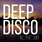 Deep Disco Records #66