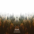 UOAK - In My Mind (Redondo Remix)
