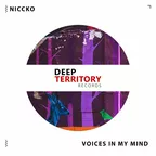Voices In My Mind