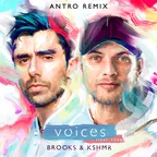 BROOKS & KSHMR — Voices (feat. TZAR) (Antro Remix)