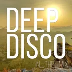 Deep Disco Records #73
