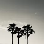 Sun Rising Sounds set Vol.3