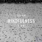 Mindfulness Episode 104