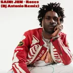 SAINt JHN - Roses (Dj Antonio Remix)