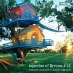 Injection of Dreams # 12