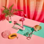 Sexy Buegel Bretter Mix 36 (Art Disco)