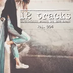 12 Tracks Vol.004 