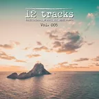 12 Tracks Vol. 005