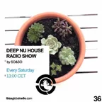 Deep Nu House Episode 036 (Ibiza Global Radio)