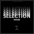Selection House vol.1