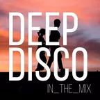 Deep Disco Records #90