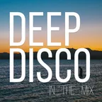 Deep Disco Records Beats Mix #2