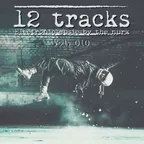 12 Tracks Vol. 010