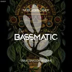 BSM029
