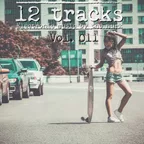 12 Tracks Vol. 011