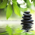 Injection of Dreams # 41