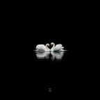 Anthony El Mejor - Swan Lake (Лебединое Озеро) [Extended] feat. Spivakovski