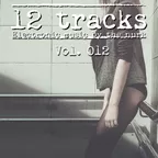 12 Tracks Vol. 012