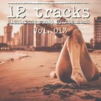 12 Tracks Vol. 013