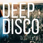 Deep Disco Records Classic Mix #9