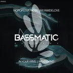 BSM035