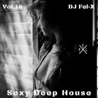 Sexy Deep House Vol.16  Mix DJ Fel-X
