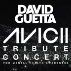 Avicii Tribute Concert