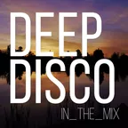 Deep Disco Records Beats Mix #7