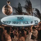 AHO - DEEP NIGHT VOL # 12