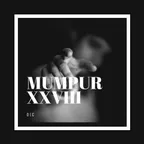 MuMPuR XXVIII