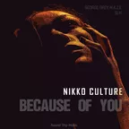 Because Of You (Remix) EP