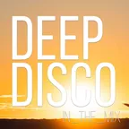 Deep Disco Records Beats Mix #8