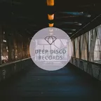 Deep Disco Vibes #29