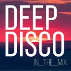 Deep Disco Records Classic Mix #13
