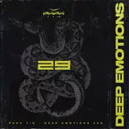DEEP EMOTIONS 29