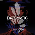 BSM041