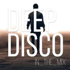 Deep Disco Records Classic Mix #14