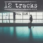 12 Tracks Vol. 016
