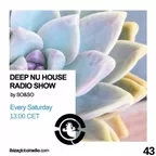 Deep Nu House Episode 043 (Ibiza Global Radio) 