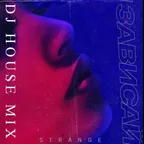 STRANGE DJ HOUSE Зависай MIX