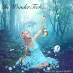 SnaFF - In WonderTech
