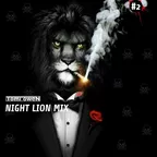 Night Lion Mix (CD #2)